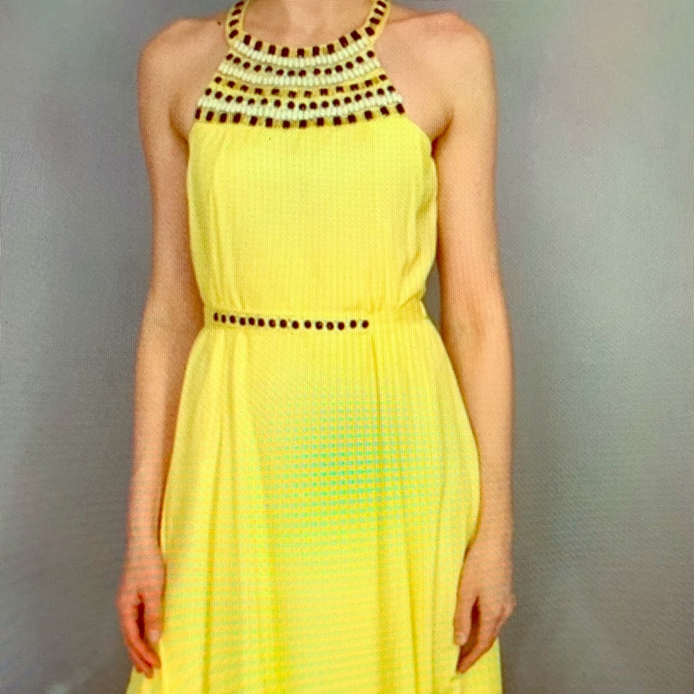 Shoshanna gown